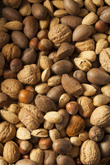 Assortment of Whole Raw Mixed Nuts
