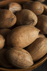 Raw Organic Whole Pecans