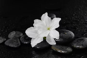 Foto op Canvas Still life with white lily \with therapy stones © Mee Ting