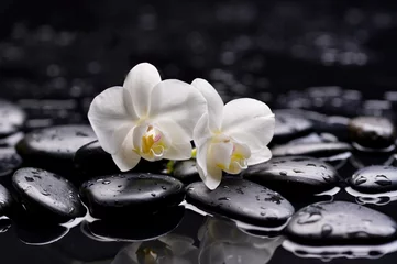 Poster Im Rahmen Zwei weiße Orchideen auf Kieselsteinen – nasser Hintergrund © Mee Ting