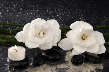 Obraz na płótnie Canvas gardenia flower with white candle and bamboo grove