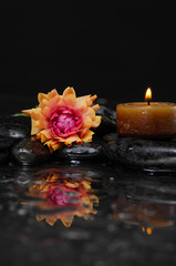 ranunculus flower with candle and therapy stones