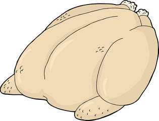 Whole Isolated Turkey