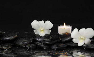 Two white orchid with white candle and therapy stones