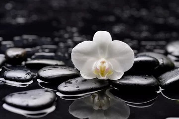 Foto op Plexiglas Macro of beautiful white orchid with therapy stones © Mee Ting