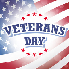 veterans day american flag - 71022978