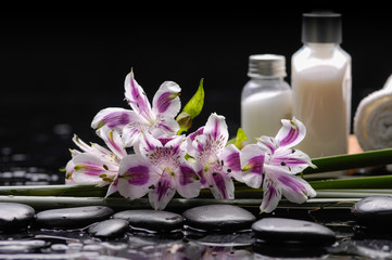 Obraz na płótnie Canvas Spa and aromatherapy concept shot