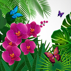 Floral design background. Orchid flowers with butterflies.