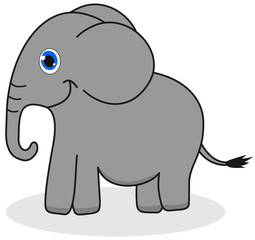 a beautiful elephant profile