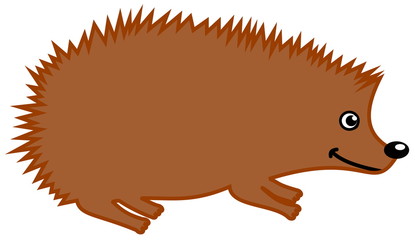 a hedgehog zoo in profile