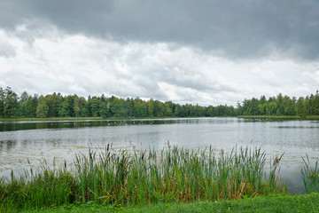 Summer landscape at the lake in a cloudy day