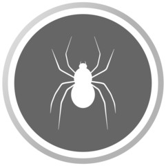 a spider in a grey Panel