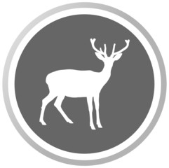 a deer in a grey Panel