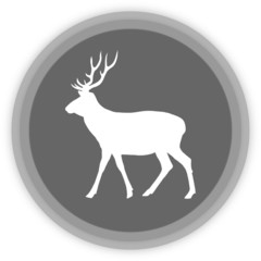 a deer in a grey Panel