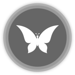 a butterfly in a grey Panel