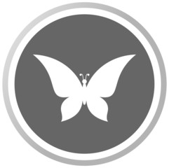 a butterfly in a grey Panel