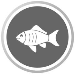a fish in a grey Panel