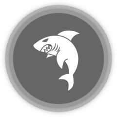 a shark in a grey panel