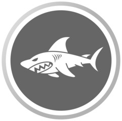 a shark in a grey panel