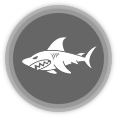 a shark in a grey panel
