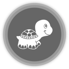 a turtle in a grey Panel