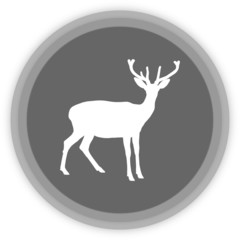 a deer in a grey Panel