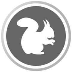 a squirrel in a grey Panel