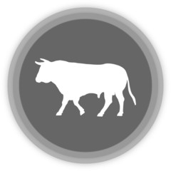 a bull in a grey Panel