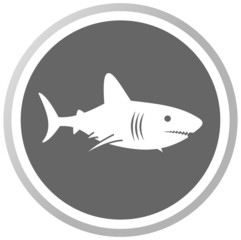 a shark in a grey panel