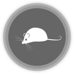 a mouse in a grey Panel