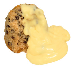 Spotted Dick Sponge Pudding