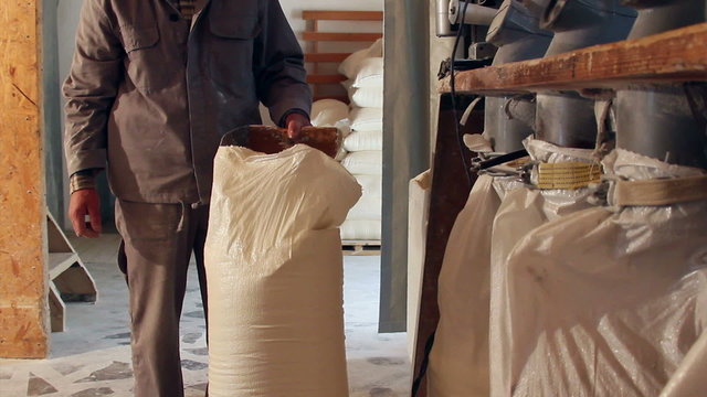 Wheat milling.Worker who control the sacks of wheat flour
