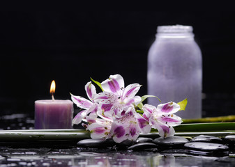 Spa still life with orchid and candle and bamboo grove