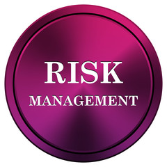 Risk management icon