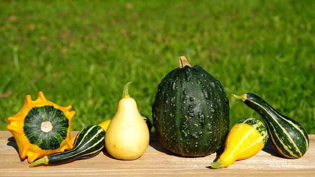 Ornamental pumpkins on wooden table