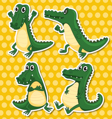 Crocodiles