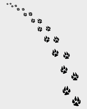 Vector illustration of dogs footprints, turn left