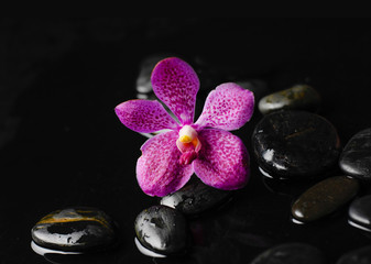 Fototapeta na wymiar Pink orchid and therapy stones