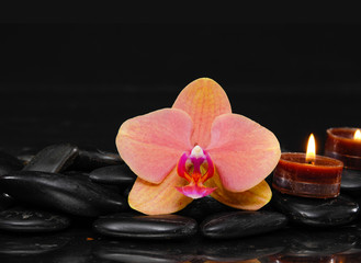Obraz na płótnie Canvas Orange orchid with two candle and therapy stones