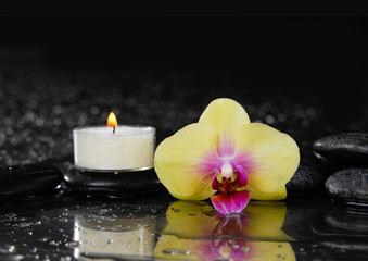 white orchid with yellow candle and therapy stones