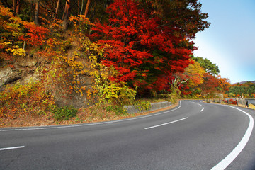 Obraz premium Highway with colorful maple leaves