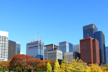 Obraz premium Tokyo cityscape