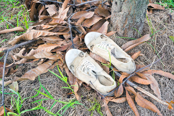 image of  dirty white shoes  under tree