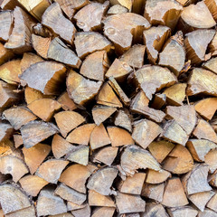 Pile of wood logs ready for winter