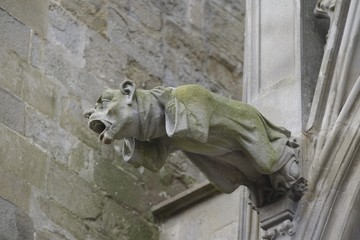 Gargoyle - Carcassonne, France