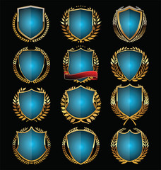 Blue and gold shield design
