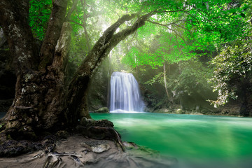 Fototapeta na wymiar Deep forest Waterfall