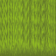Grass.