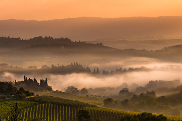 Obraz premium Tuscan Village Landscape on a Foggy Morning