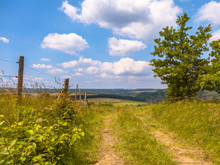 Fototapeta premium Walking trail on a Hill in a Green Summer Landscape